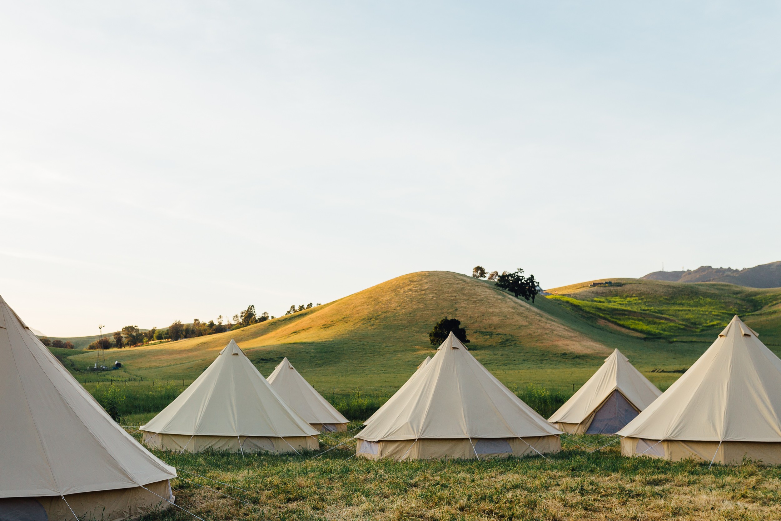 Front Page -Tents Sales 1623347066339