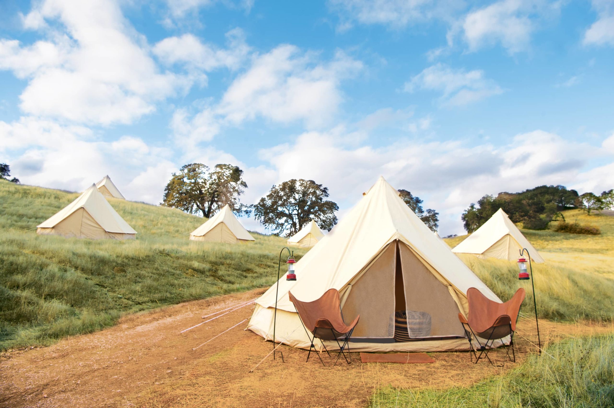 Front Page -Tents Sales French Oak Faves High Lauri Levenfeld 1 1 1 scaled 1